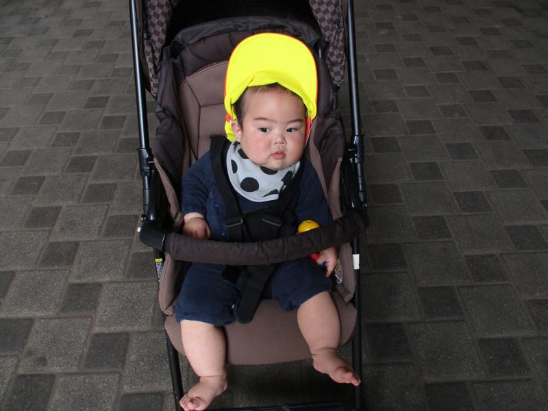 電車を見に行ったよ！ひかり組（０歳児）・…